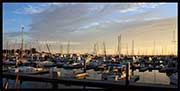 marina boats